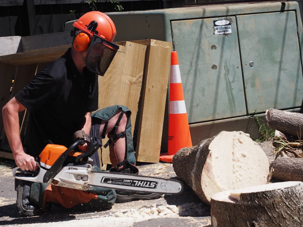 Arborist using chainsaw to remove tree stump