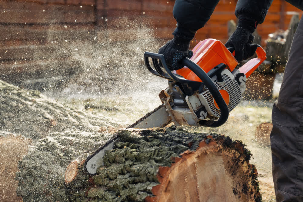 Chainsaw cutting through tree log