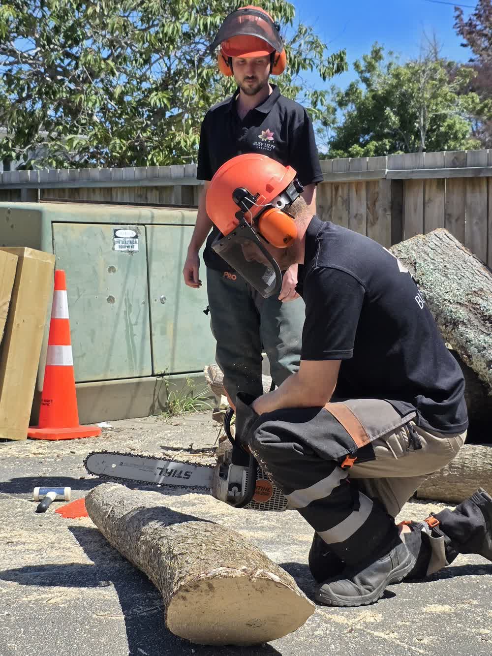 Arborist chainsaw training session with instructor observing