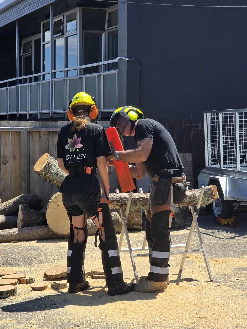 Arborist chainsaw training session with instructor demonstrating technique