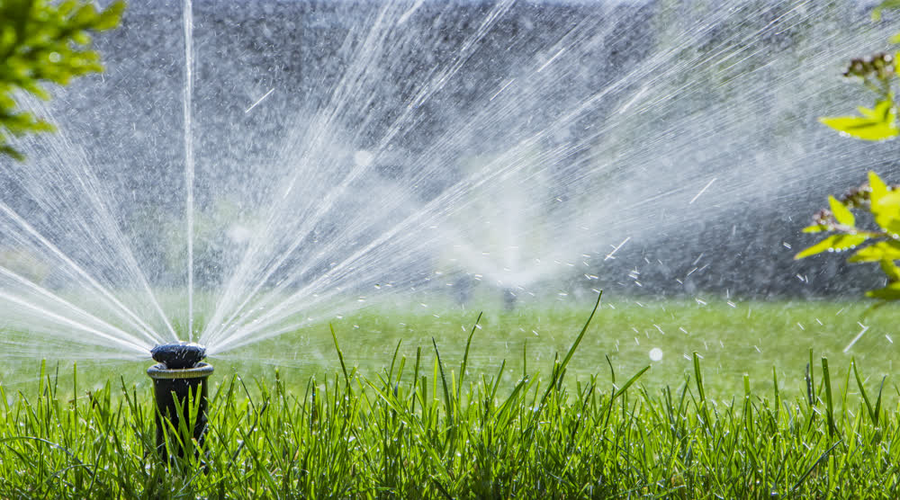 Sprinkler watering lush green lawn, close-up